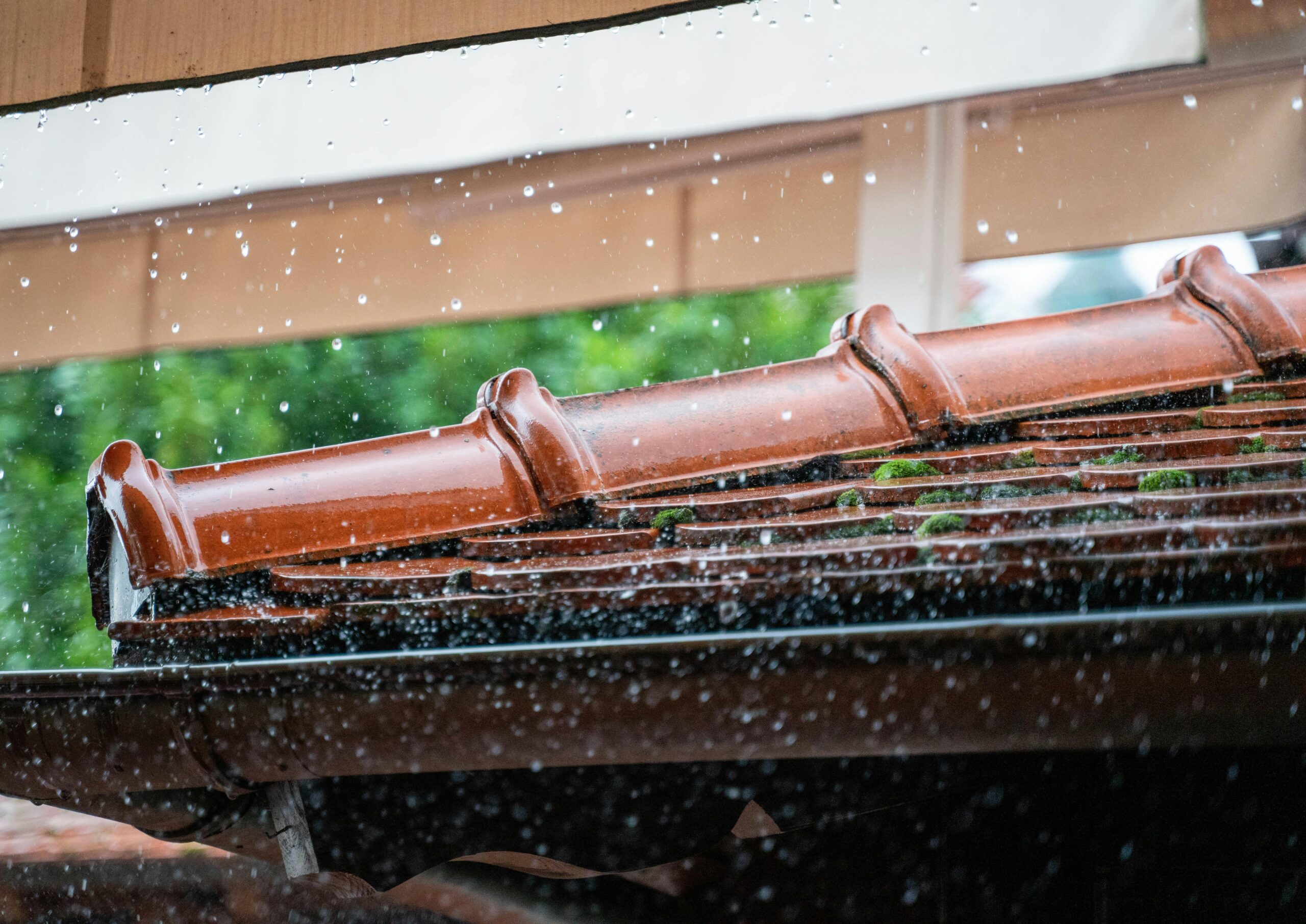 Gutter installation and repair Roseville MN